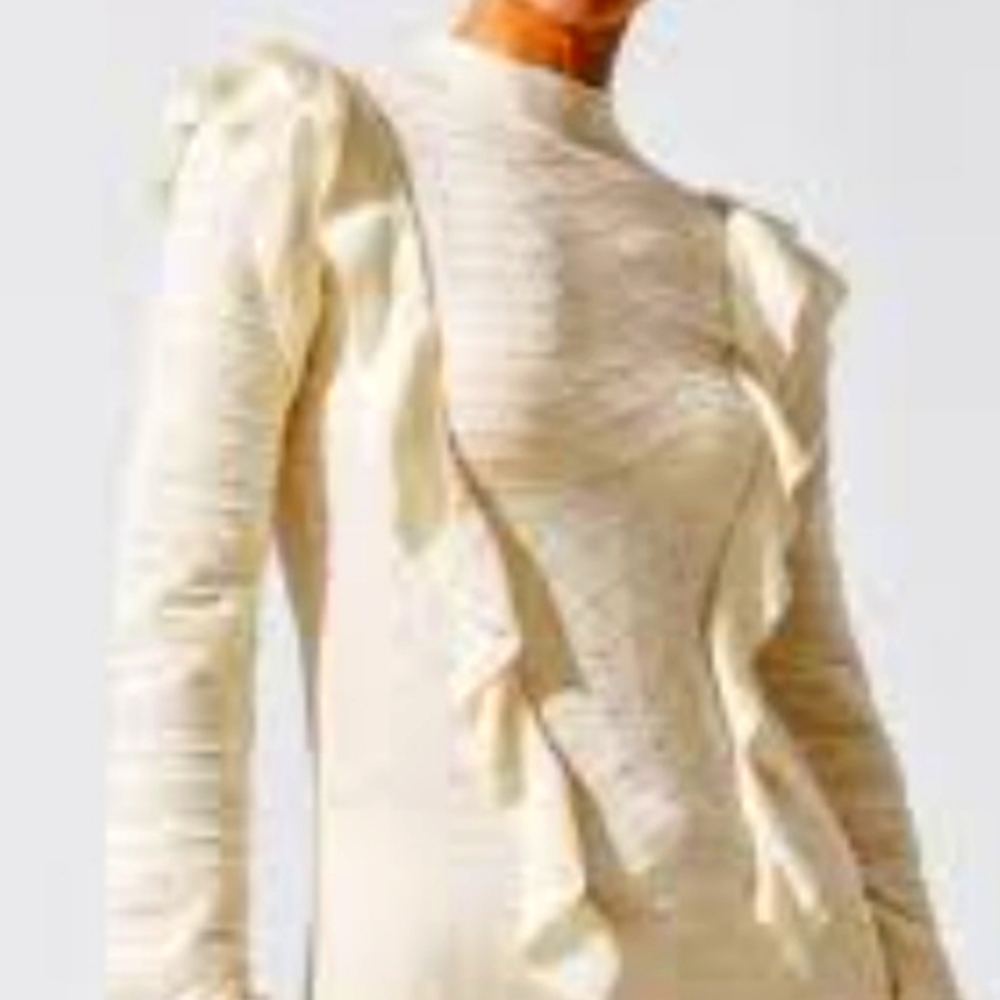 NWT sexy, sleek long slv ruffled top